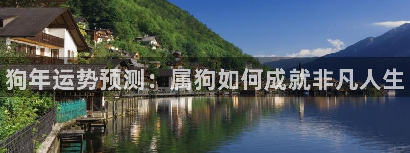 大满贯环保：狗年运势预测：属狗如何成就非凡人生