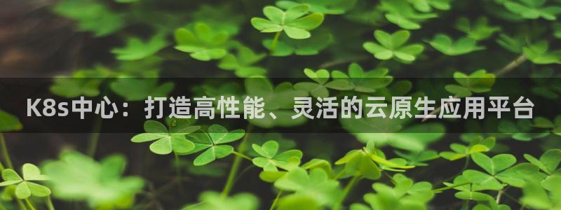 大满贯电子有限公司：K8s中心：打造高性能、灵活的云原生应用平台