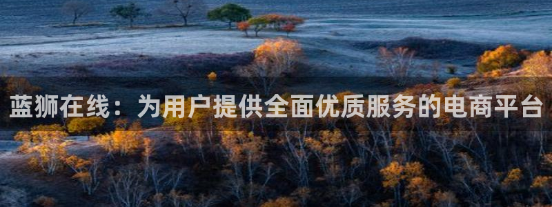 大满贯代理：蓝狮在线：为用户提供全面优质服务的电商平台