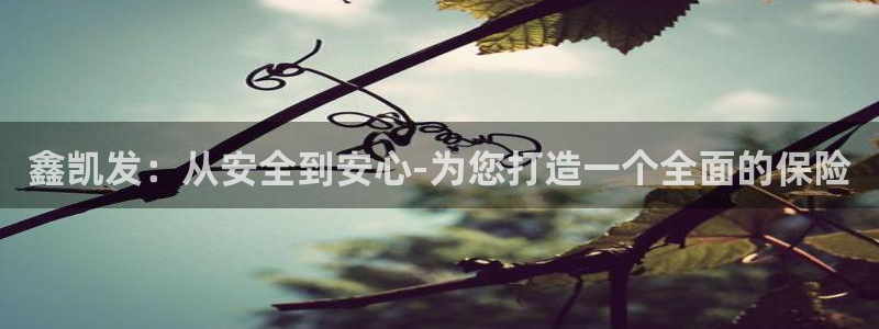 大满贯包怎么样：鑫凯发：从安全到安心-为您打造一个全面的保险
