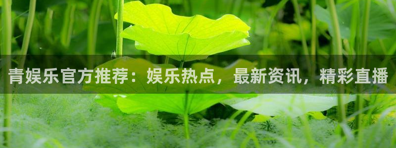 大满贯：青娱乐官方推荐：娱乐热点，最新资讯，精彩直播