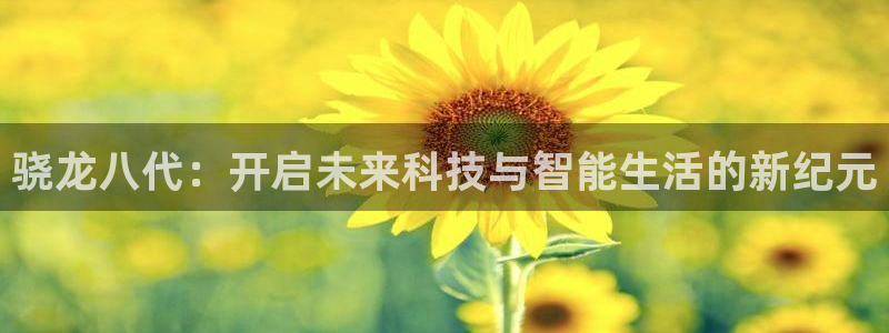 大满贯体育代理：骁龙八代：开启未来科技与智能生活的新纪元