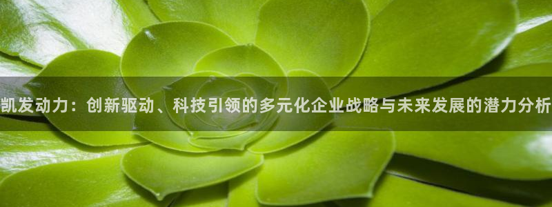 大满贯2登录：凯发动力：创新驱动、科技引领的多元化企业战略与未来发展的潜力分析
