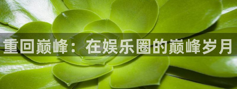 大满贯2注册：重回巅峰：在娱乐圈的巅峰岁月