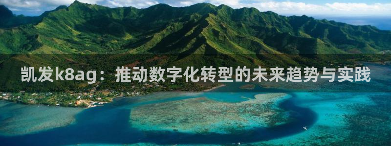 大满贯体育平台开号链接：凯发k8ag：推动数字化转型的未来趋势与实践