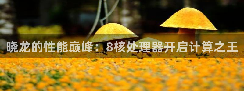 大满贯平台在线注册：晓龙的性能巅峰：8核处理器开启计算之王