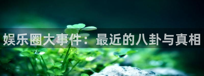 大满贯平台开户链接：娱乐圈大事件：最近的八卦与真相