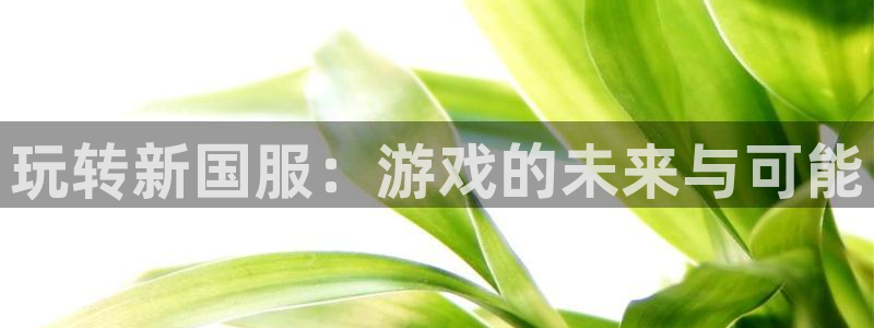 大满贯体育凯捷代理注册：玩转新国服：游戏的未来与可能