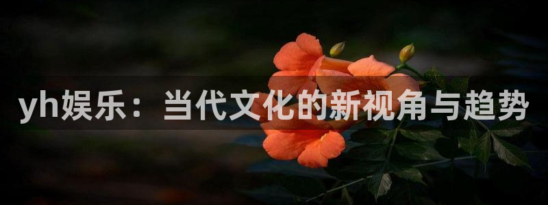 大满贯环保：yh娱乐：当代文化的新视角与趋势