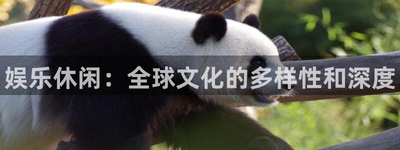 大满贯股份：娱乐休闲：全球文化的多样性和深度