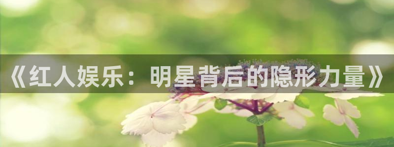 大满贯vk：《红人娱乐：明星背后的隐形力量》
