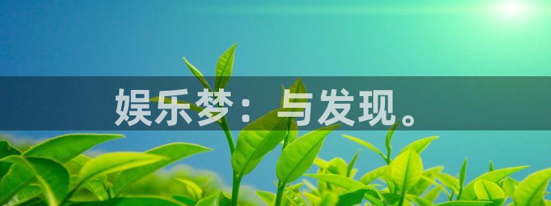 大满贯股份：娱乐梦：与发现。