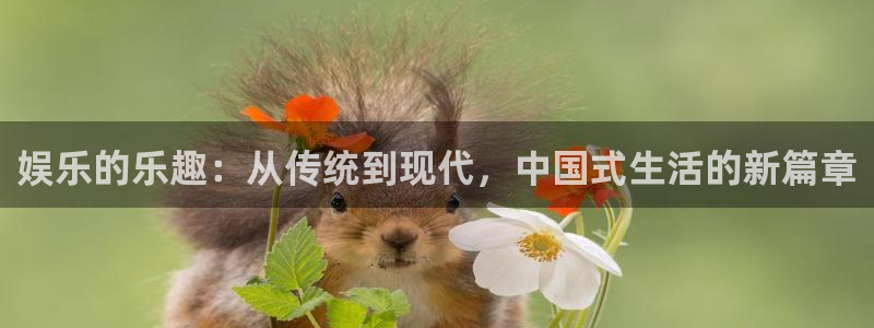 大满贯游戏有哪些好玩的：娱乐的乐趣：从传统到现代，中国式生活的新篇章