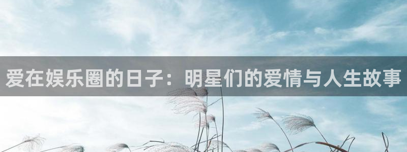 大满贯电子有限公司：爱在娱乐圈的日子：明星们的爱情与人生故事