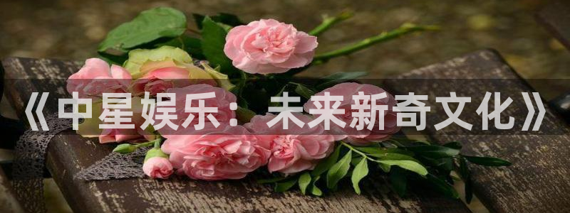 大满贯2官网：《中星娱乐：未来新奇文化》