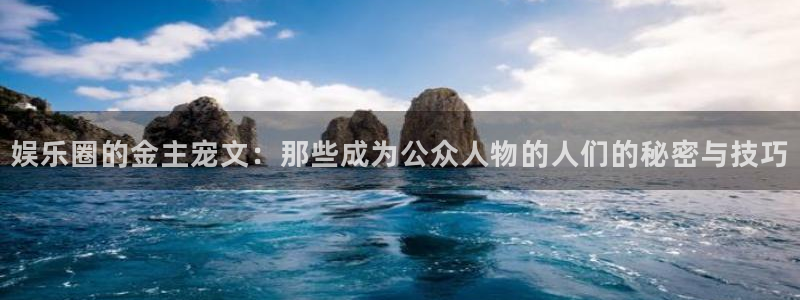 大满贯体育和杏耀是哪个公司的：娱乐圈的金主宠文：那些成为公众人物的人们的秘密与技巧