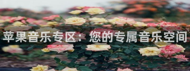 大满贯3官网登录：苹果音乐专区：您的专属音乐空间