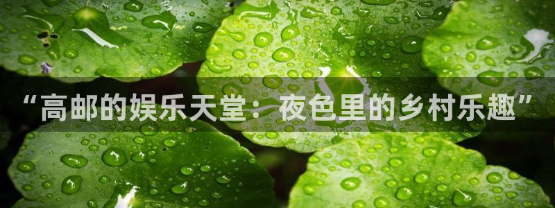大满贯2平台注册：“高邮的娱乐天堂：夜色里的乡村乐趣”
