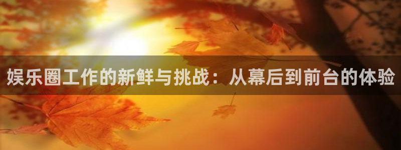 大满贯登录界面入口：娱乐圈工作的新鲜与挑战：从幕后到前台的体验