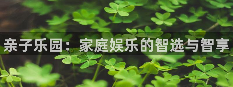 大满贯2登录地址：亲子乐园：家庭娱乐的智选与智享