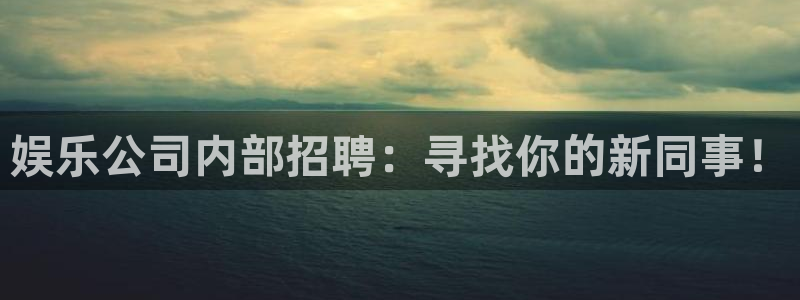 大满贯：娱乐公司内部招聘：寻找你的新同事！