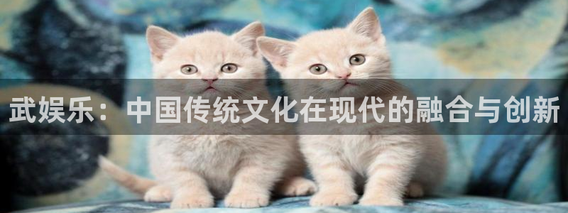 大满贯体育用品：武娱乐：中国传统文化在现代的融合与创新