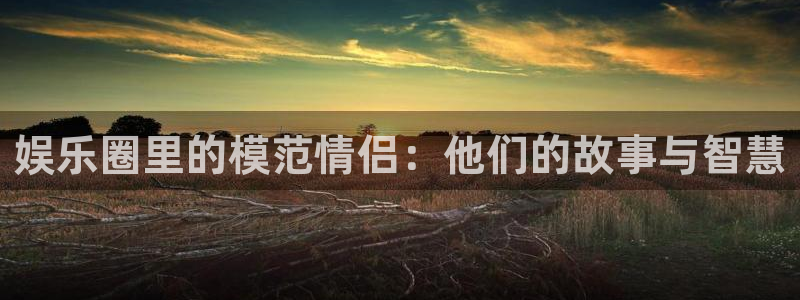 大满贯5：娱乐圈里的模范情侣：他们的故事与智慧