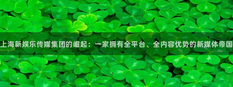 大满贯登录：上海新娱乐传媒集团的崛起：一家拥有全平台、全内容优势的新媒体帝国