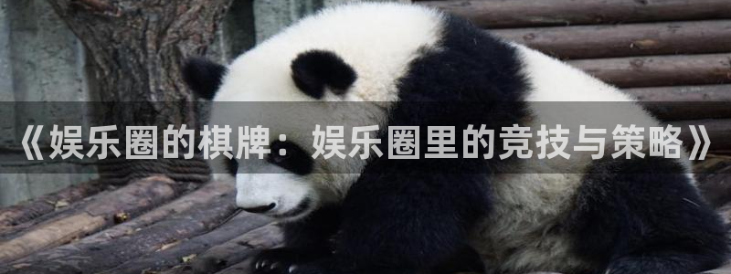 大满贯f平台注册：《娱乐圈的棋牌：娱乐圈里的竞技与策略》