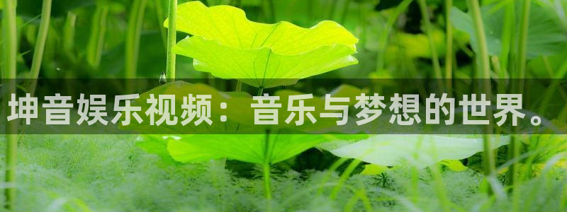 大满贯体育4：坤音娱乐视频：音乐与梦想的世界。