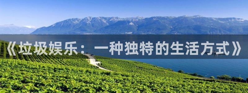 大满贯凯捷注册：《垃圾娱乐：一种独特的生活方式》